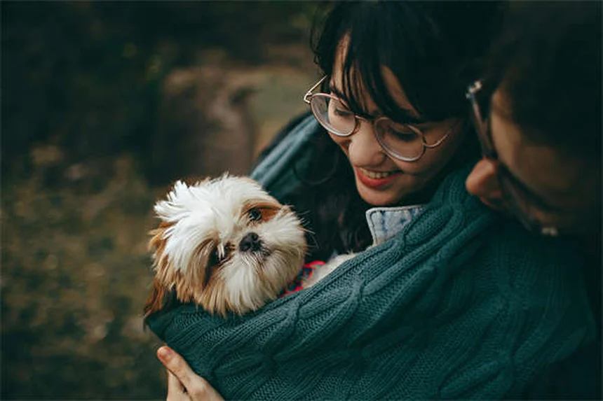 ペットは飼い主の死を理解する？犬の気持ちがわかる感動ストーリー